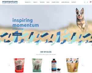 Momentum Website